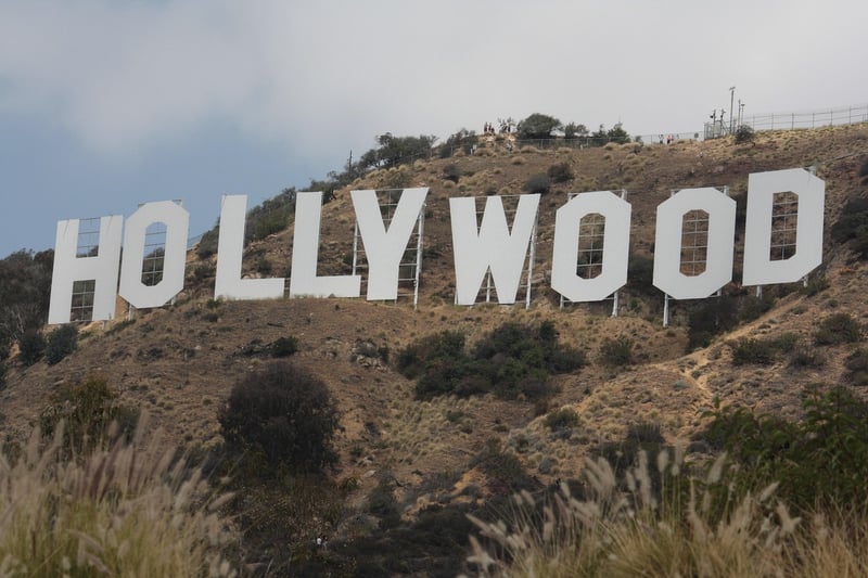 Hollywood rising stars
